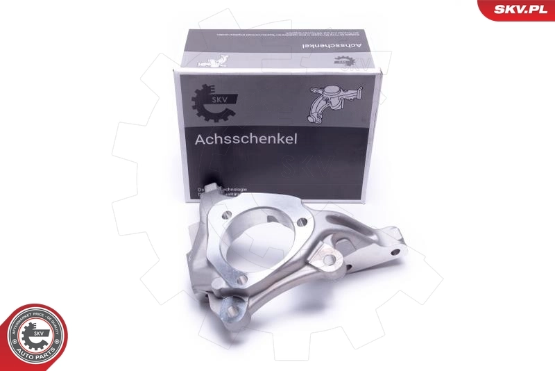 Steering Knuckle, wheel suspension